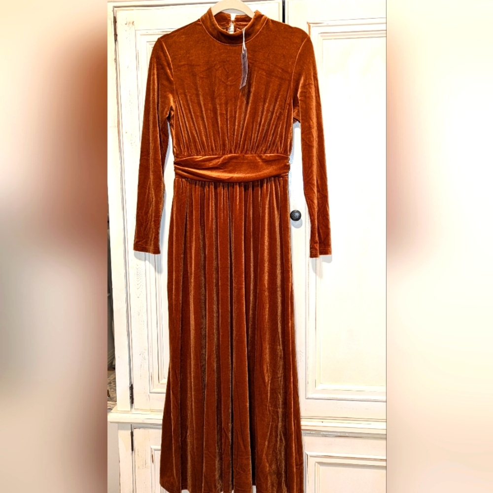 NWT beautiful caramel colored velvet midi. Size S.